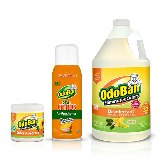 Aroma Eliminator Set, 10 Ounce 360-Degree Continuous Spray Natural Oil Real Citrus Orange Air Freshener, 1 Gallon Multipurpose Disinfectant Cleaning Concentrate, 14 Ounce Solid Scent Absorber